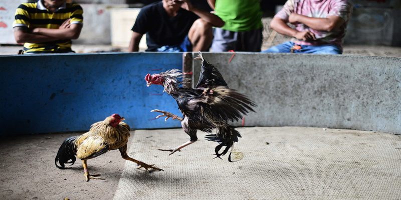 Lựa chọn phải chuẩn chỉ