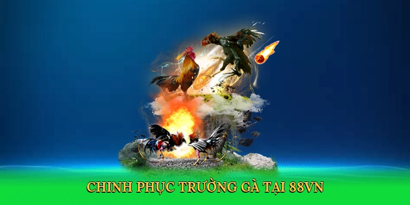Chinh phục trường gà tại 88VN
