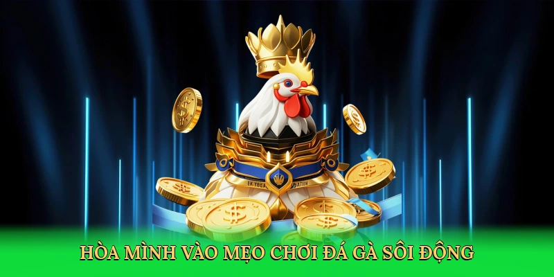 hoa-minh-vao-meo-choi-da-ga-soi-dong-2