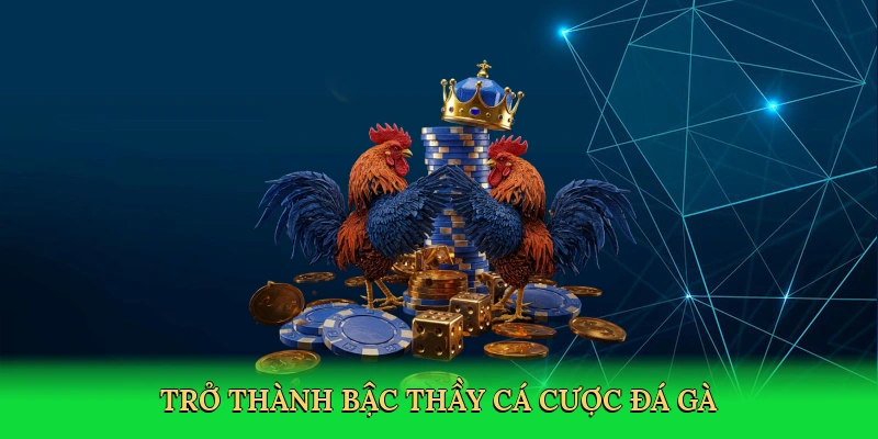 tro-thanh-bac-thay-ca-cuoc-da-ga-4