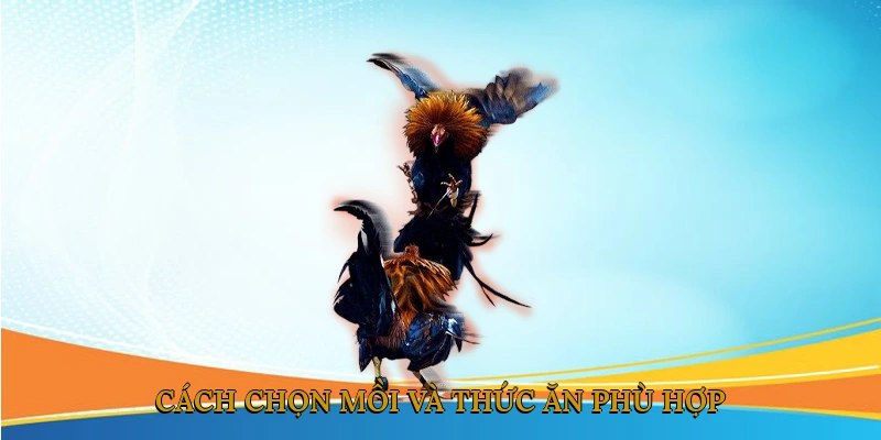Cách chọn mồi và thức ăn phù hợp cho từng giai đoạn