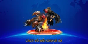 Cách Vô Mồi Cho Gà Đá