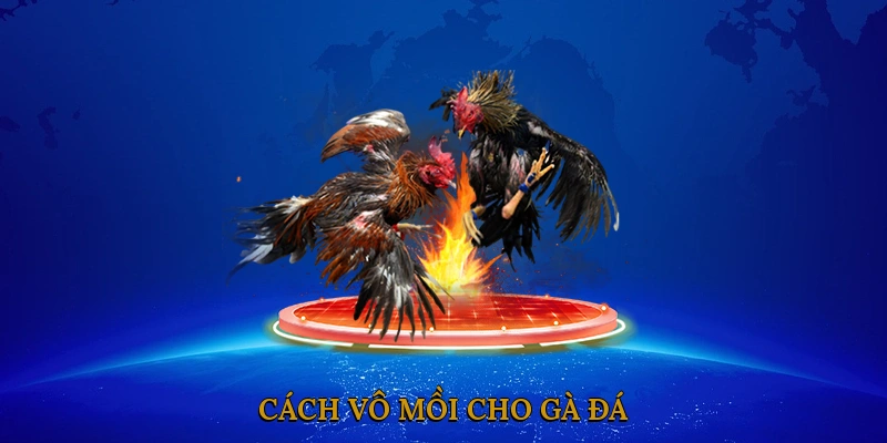 Cách Vô Mồi Cho Gà Đá
