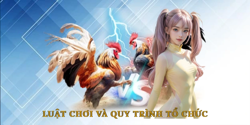 Luật Chơi và Quy Trình Tổ Chức Một Trận Đá Gà