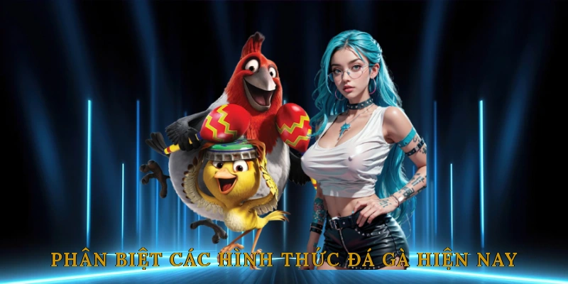 Phân Biệt Các Hình Thức Đá Gà Hiện Nay