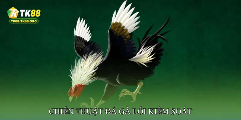 Chiến thuật đá gà lối đánh kiểm soát