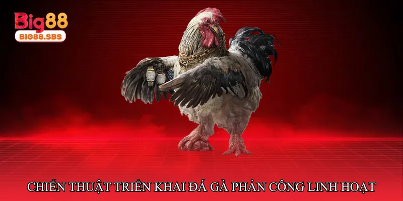 Chiến thuật triển khai đá gà phản công linh hoạt