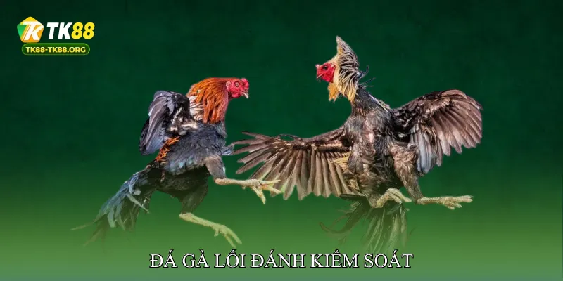 Đá gà lối đánh kiểm soát