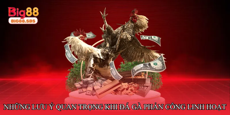 Những lưu ý quan trọng khi đá gà phản công linh hoạt