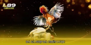 Đá gà nhịp đá chiến lược