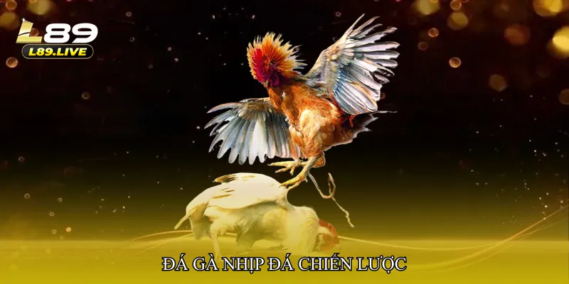 Đá gà nhịp đá chiến lược
