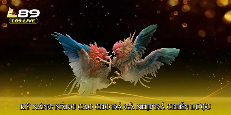 Kỹ năng nâng cao cho Đá gà nhịp đá chiến lược