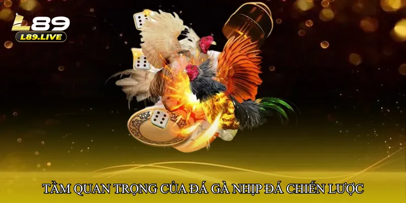 Tầm quan trọng của Đá gà nhịp đá chiến lược